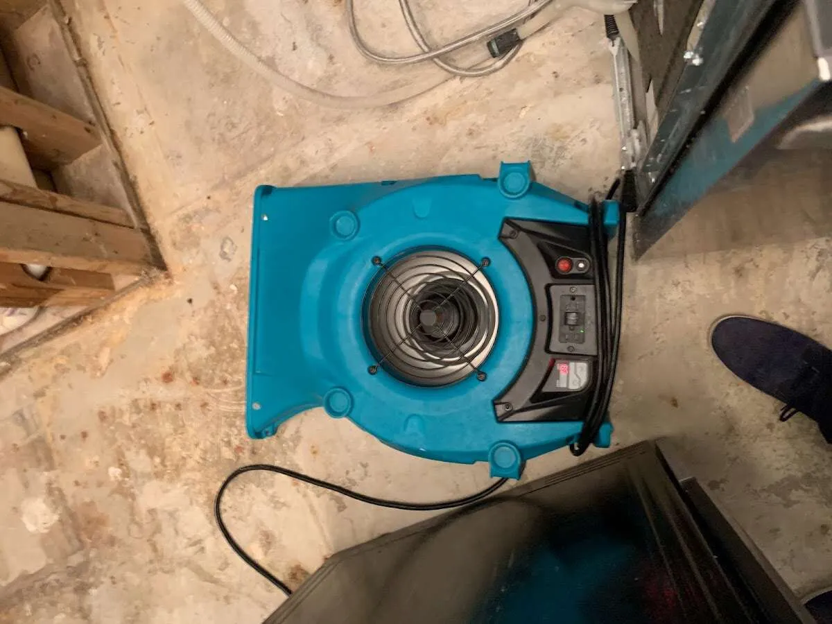 Air mover drying equipment for Mold Remediation & Removal in Scotch Plains